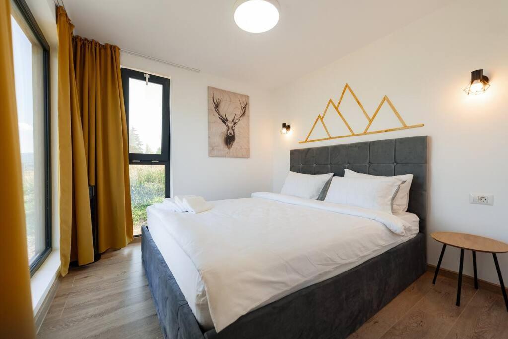 Cozy Cube - Tiny House Villa Şarul Dornei Kültér fotó
