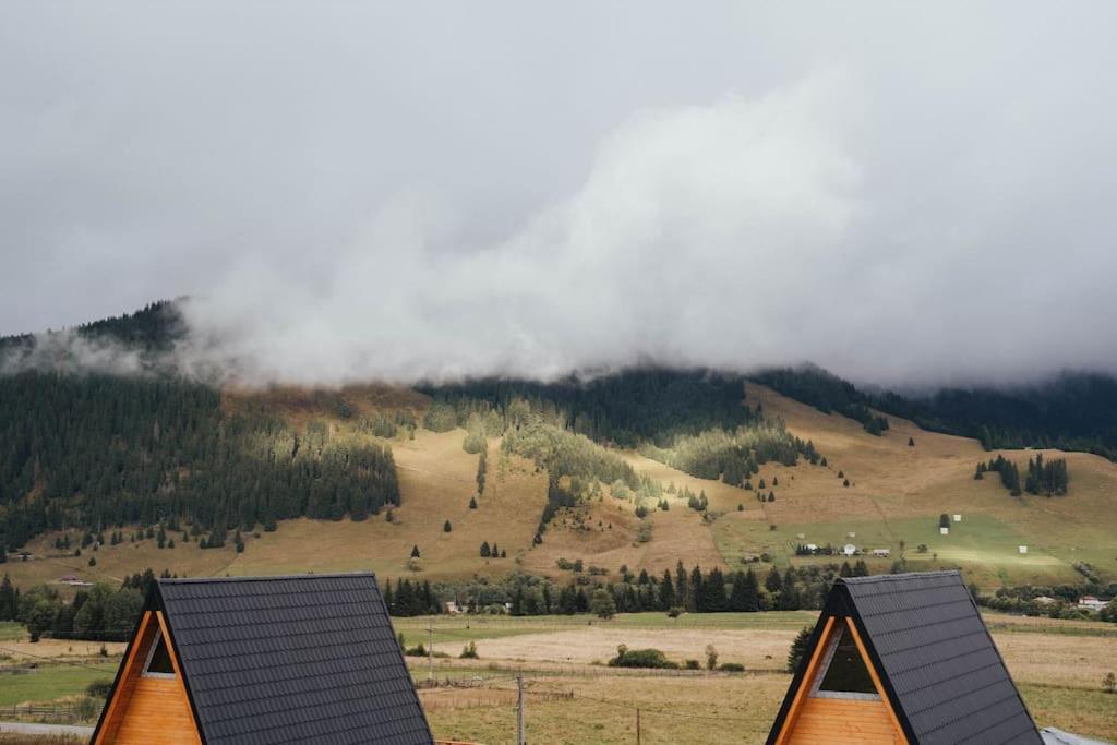 Cozy Cube - Tiny House Villa Şarul Dornei Kültér fotó