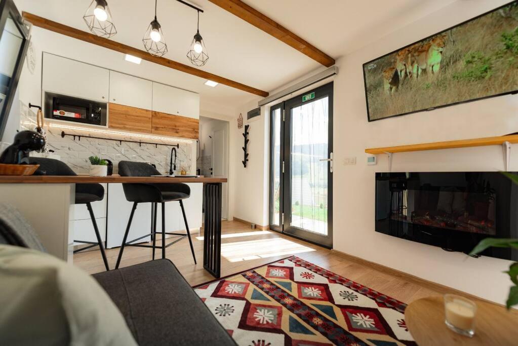 Cozy Cube - Tiny House Villa Şarul Dornei Kültér fotó