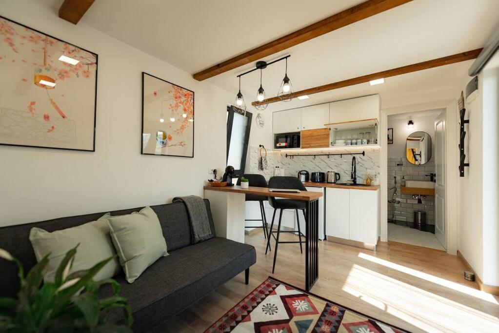Cozy Cube - Tiny House Villa Şarul Dornei Kültér fotó